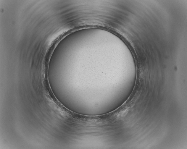 X0000088610979200706081430