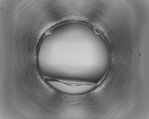 X0000088610981200706081430