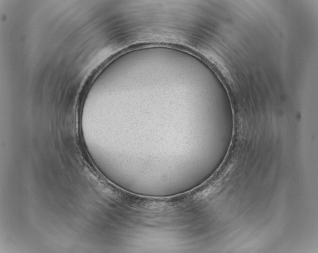 X0000088610982200706081430