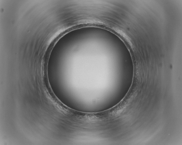 X0000088610983200706081430