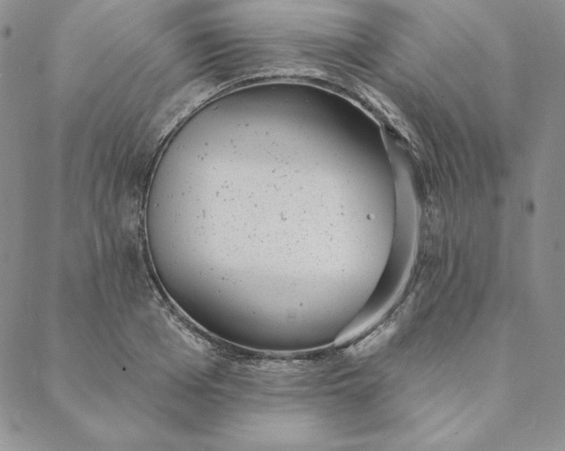 X0000088610985200706081430