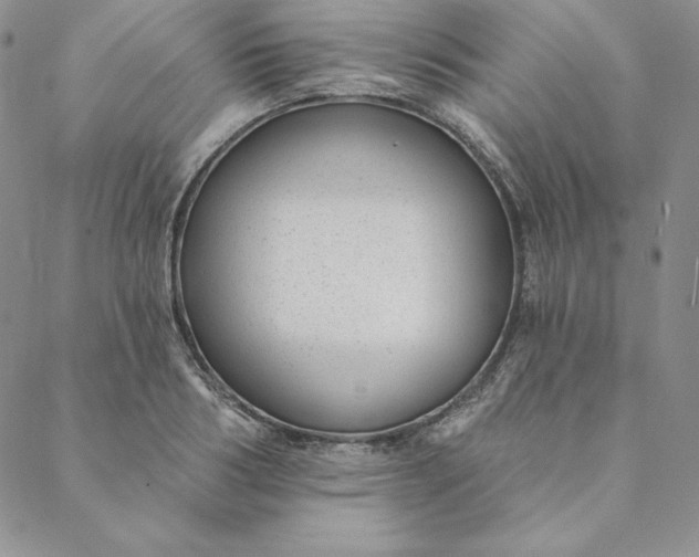 X0000088610986200706081430