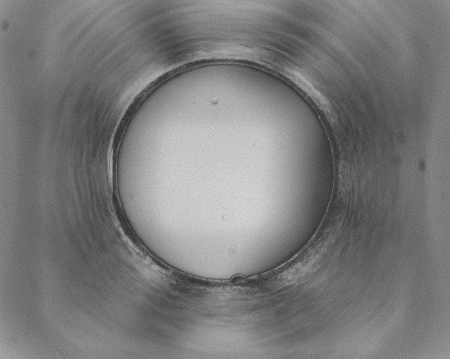 X0000088610988200706081430