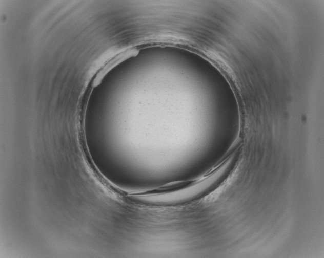 X0000088610989200706081430