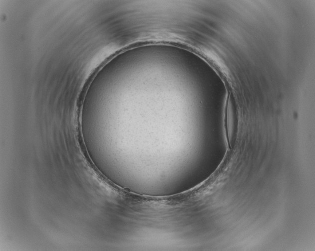 X0000088610990200706081430