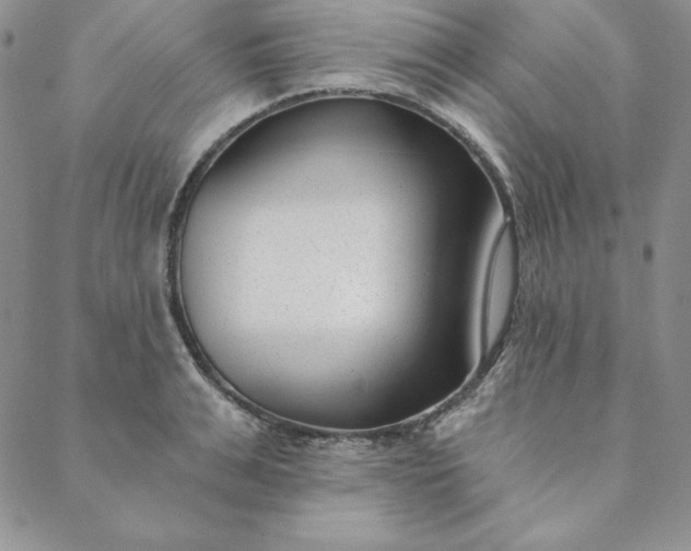 X0000088610991200706081430