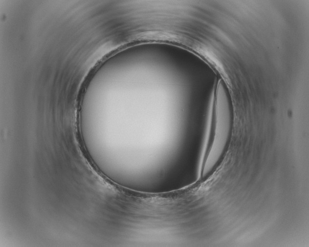 X0000088610992200706081430