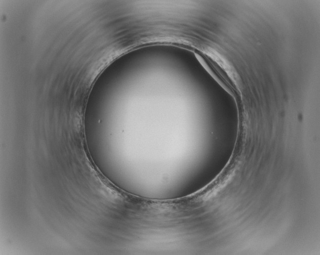 X0000088610993200706081430