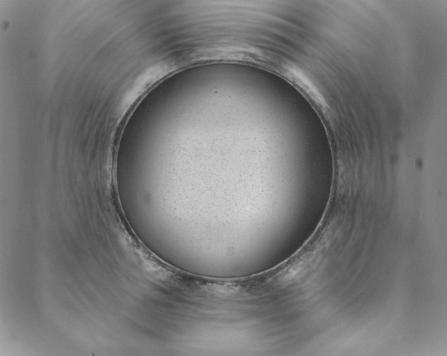 X0000088610994200706081430