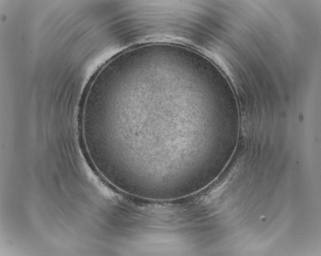 X0000088610995200706081430