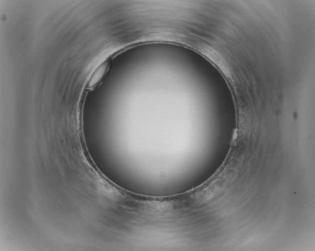 X0000088610996200706081430