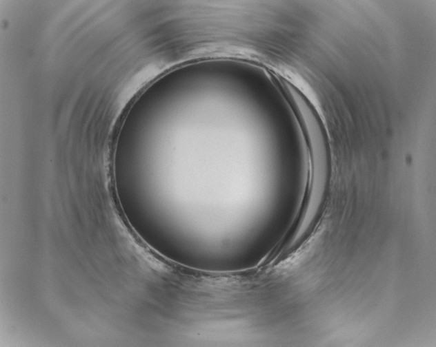 X0000088610997200706081430