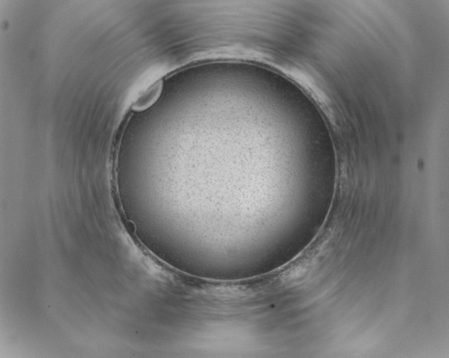 X0000088610998200706081429