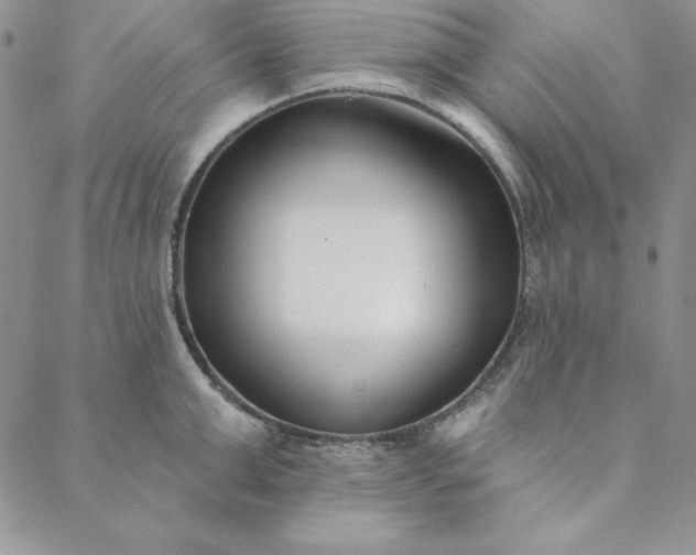 X0000088610999200706081429