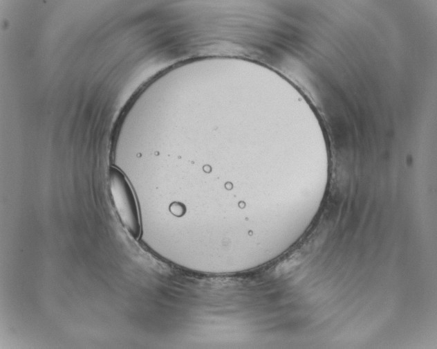 X0000088611000200706081429