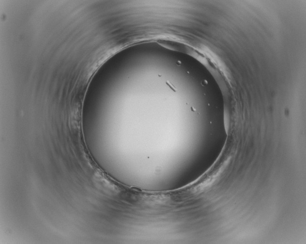 X0000088611001200706081429