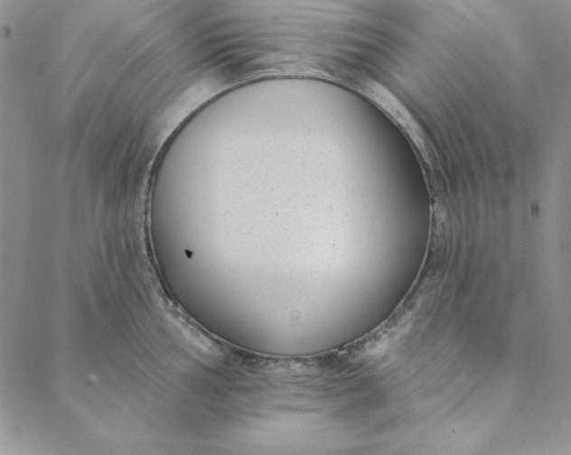 X0000088611002200706081429