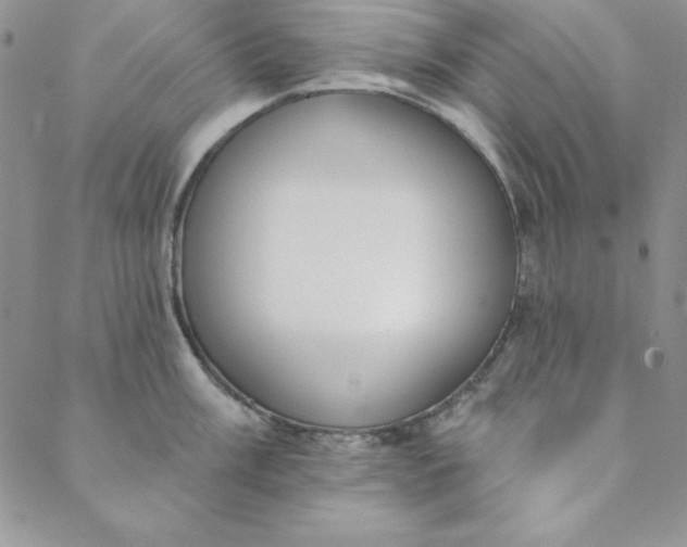 X0000088611003200706081429