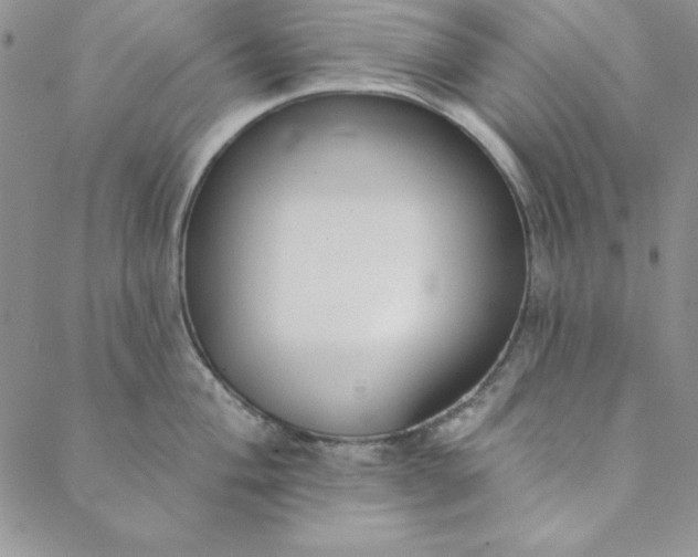 X0000088611004200706081429