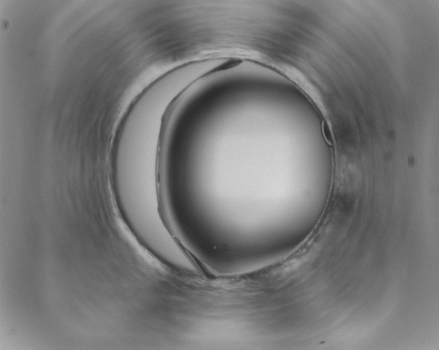 X0000088611005200706081429