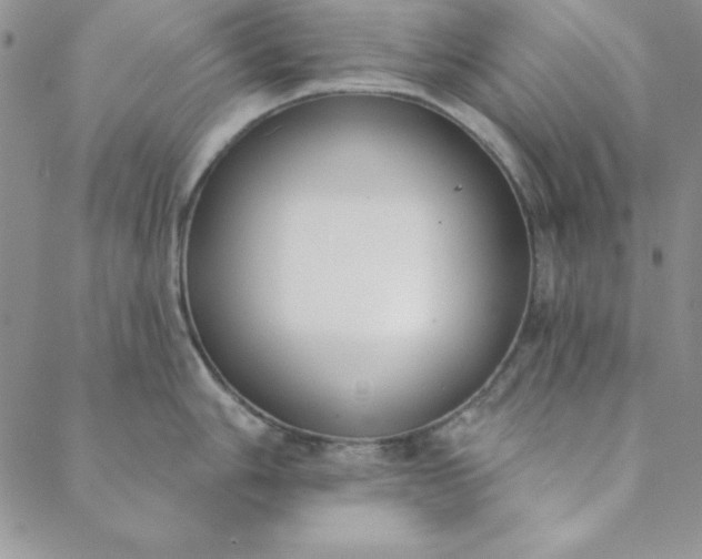 X0000088611006200706081429