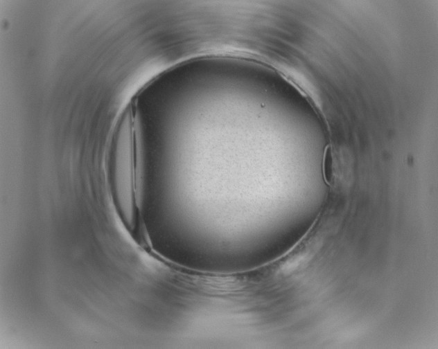 X0000088611007200706081429