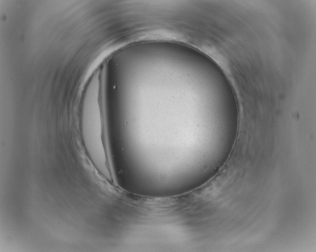 X0000088611008200706081429