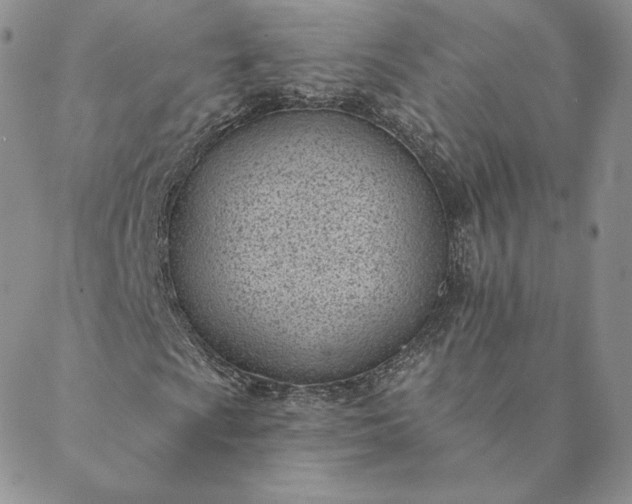 X0000088611009200706081429