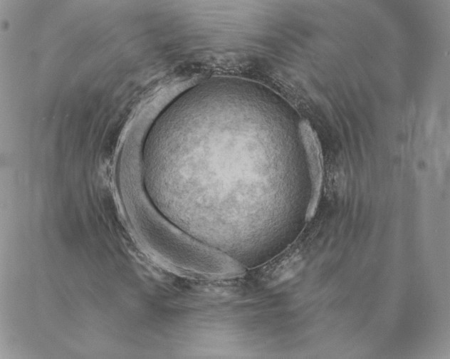 X0000088611010200706081429