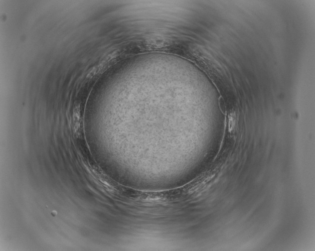 X0000088611011200706081429