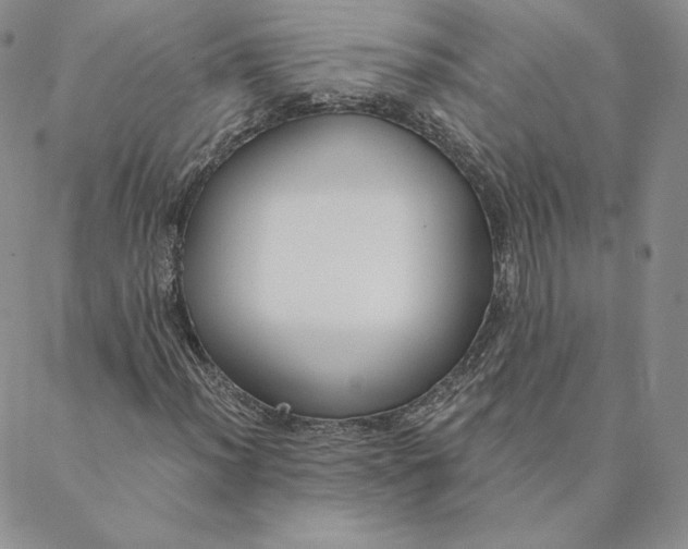 X0000088611012200706081429