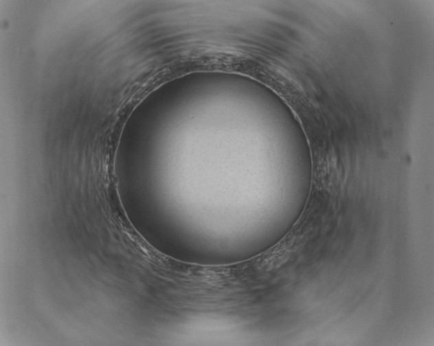 X0000088611013200706081429