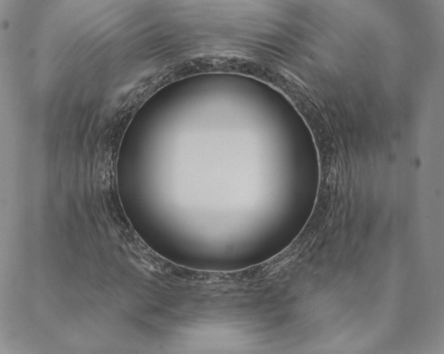 X0000088611014200706081429