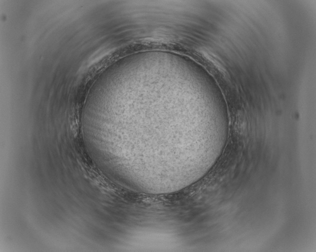 X0000088611015200706081429