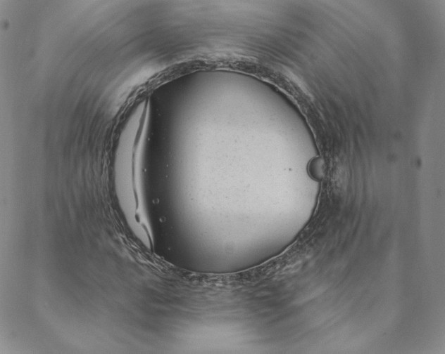 X0000088611016200706081429