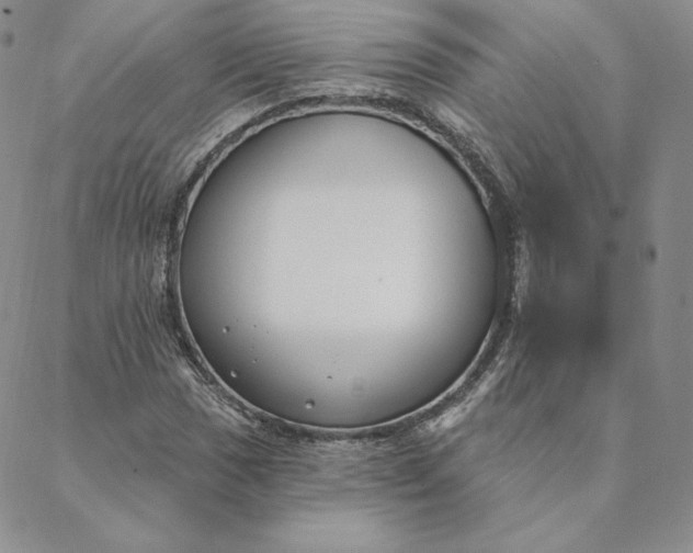 X0000088611017200706081429