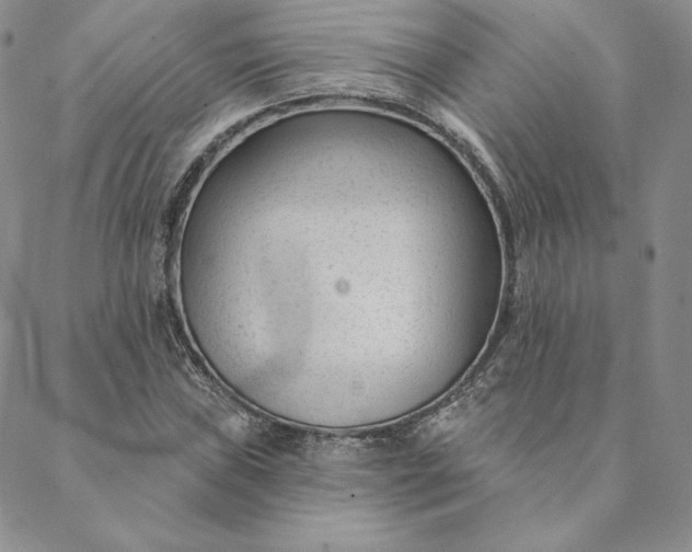 X0000088611019200706081429