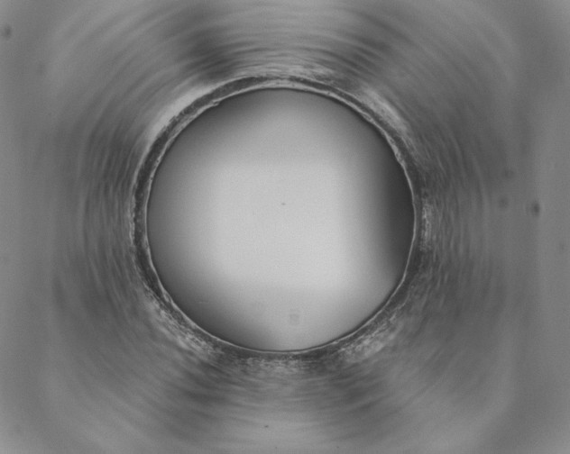 X0000088611020200706081429