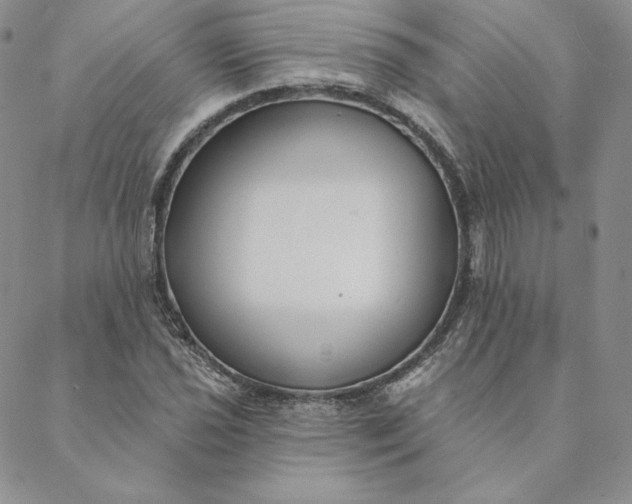 X0000088611021200706081429