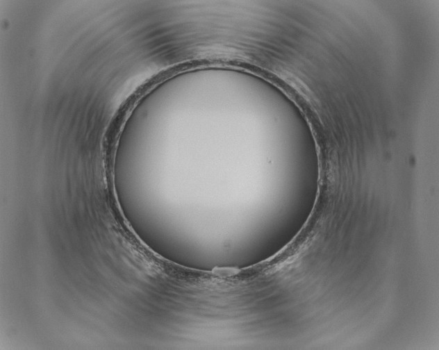 X0000088611022200706081429