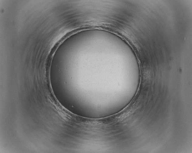 X0000088611023200706081429