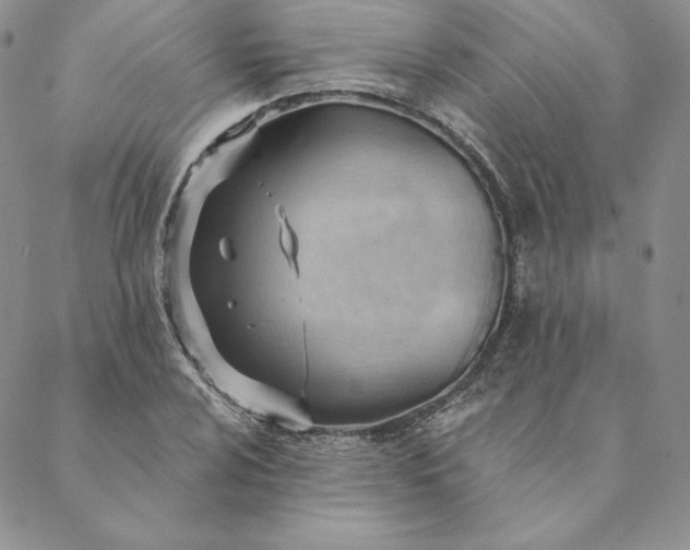 X0000088611024200706081429