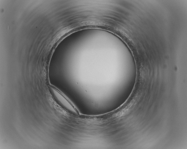 X0000088611025200706081429