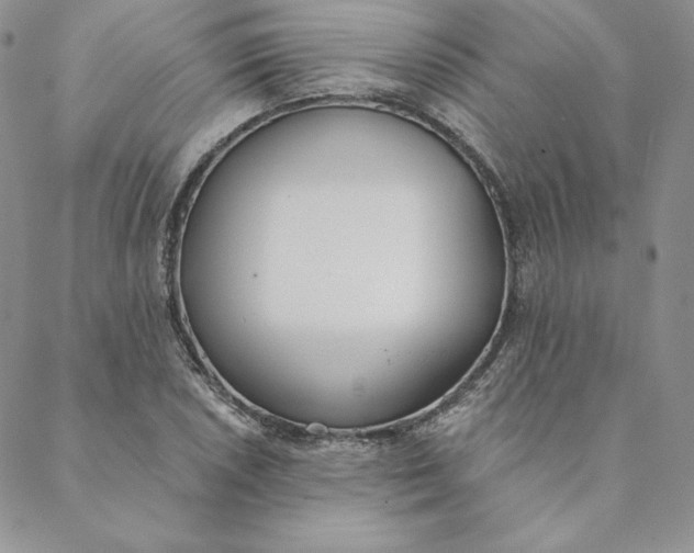 X0000088611026200706081429