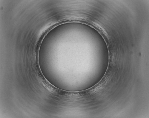 X0000088611027200706081429