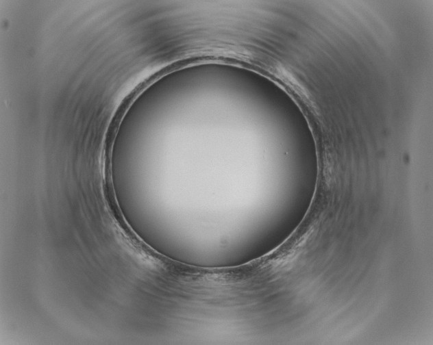 X0000088611028200706081429