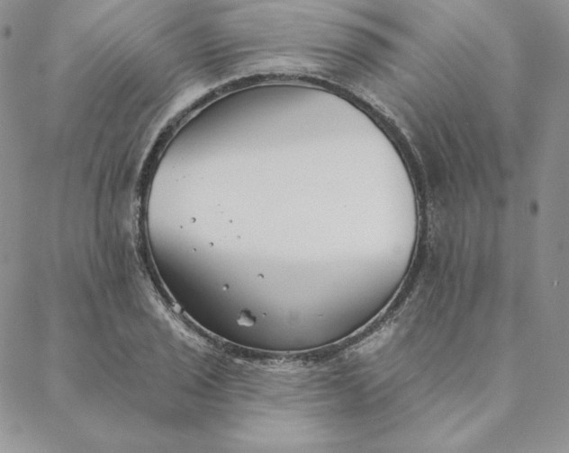 X0000088611029200706081429