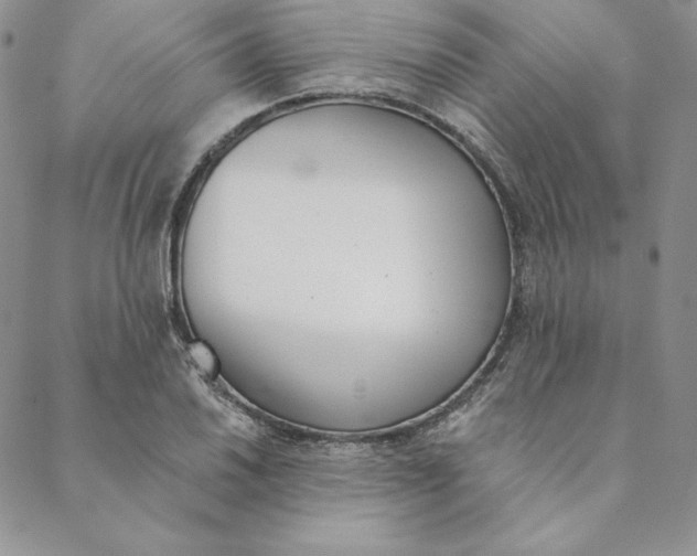 X0000088611030200706081429