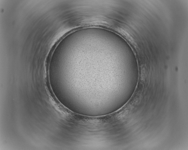 X0000088611031200706081429