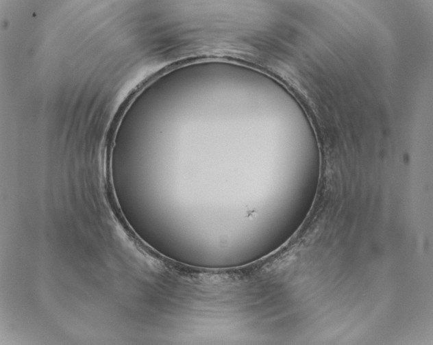 X0000088611032200706081429